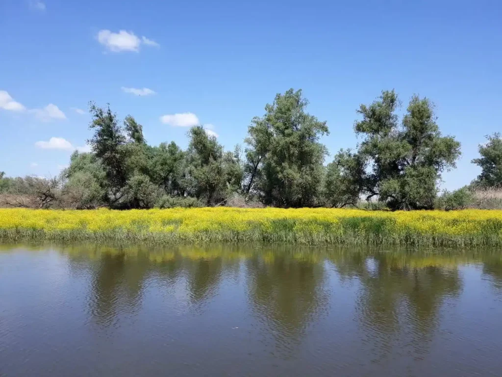 Hrvatski znanstvenici u Kopačkom ritu rade na očuvanju biljnih i životinjskih vrsta pomoću najsuvremenije Huaweijeve tehnologije TEHIX