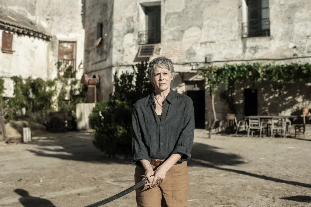 THE WALKING DEAD: DARYL DIXON TEHIX