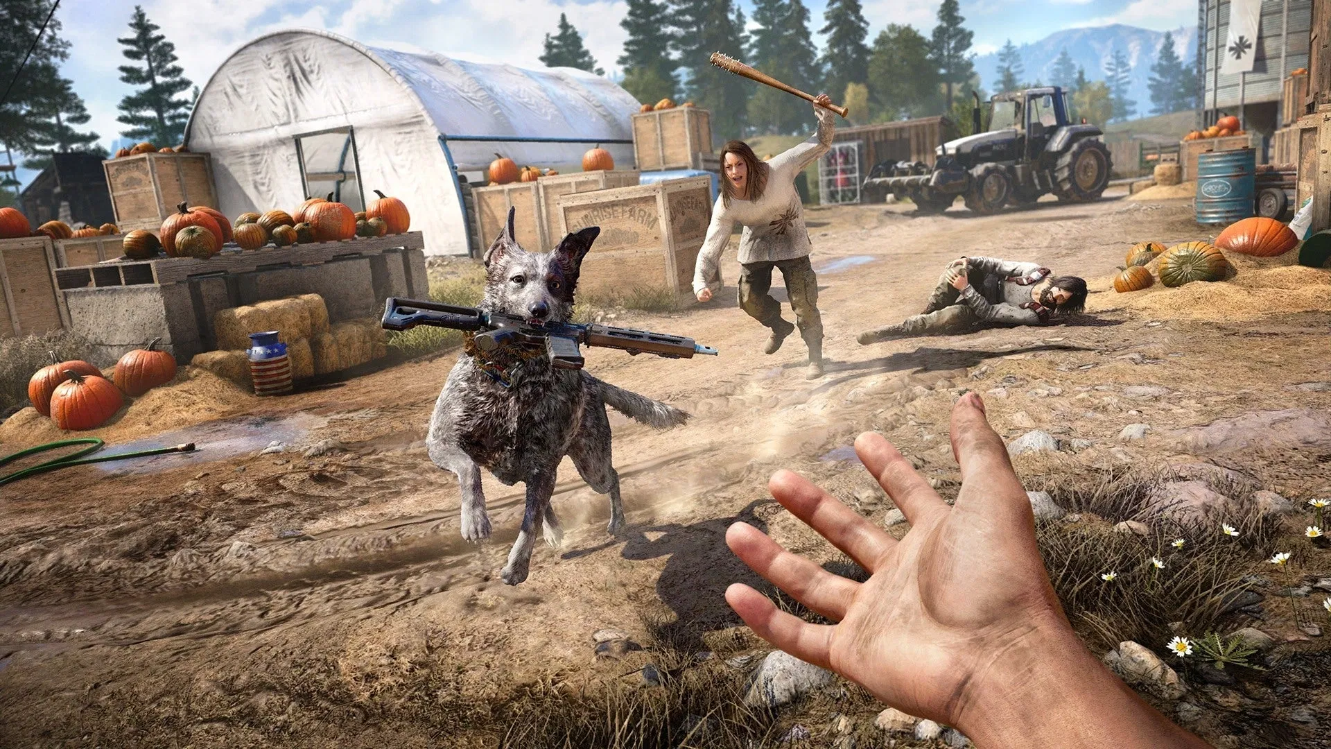 Ubisoft je potvrdio kako Far Cry serijal korača ka multiplayeru